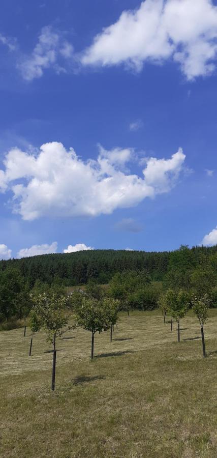 Pensiunea Anca Rona de Jos Exteriör bild